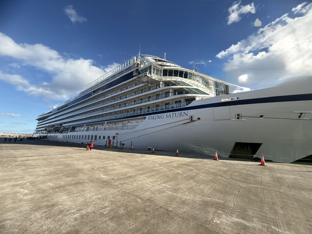 Large cruise ship docked at port