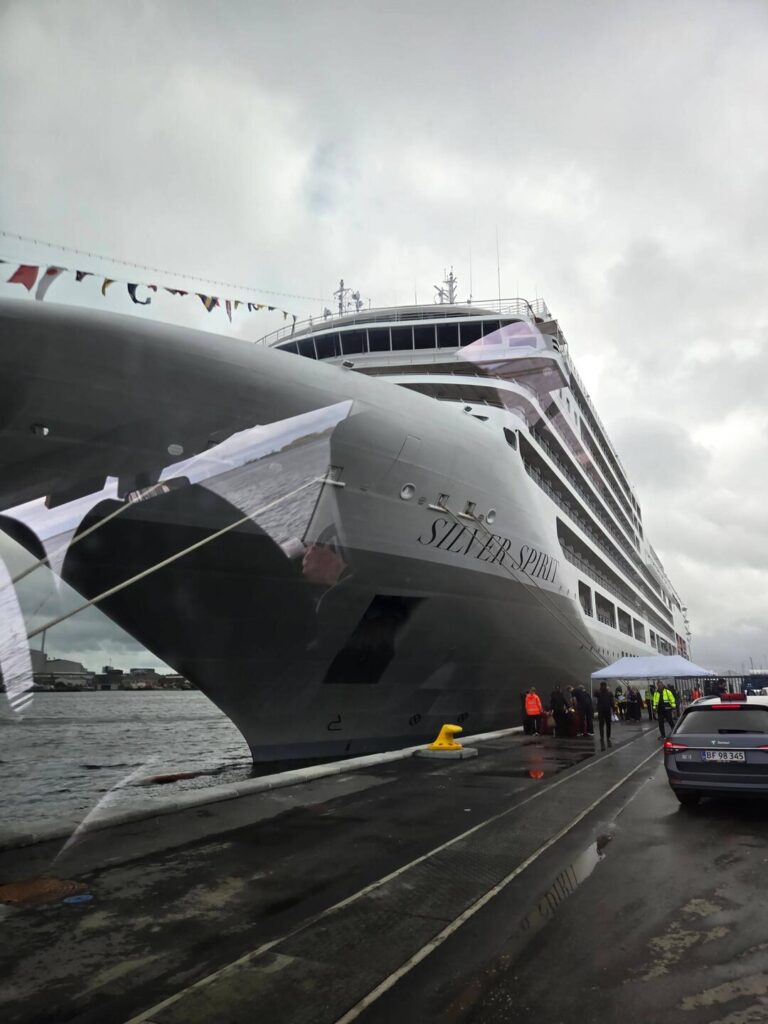 Cruise ship docked at a port with cloudy sky.